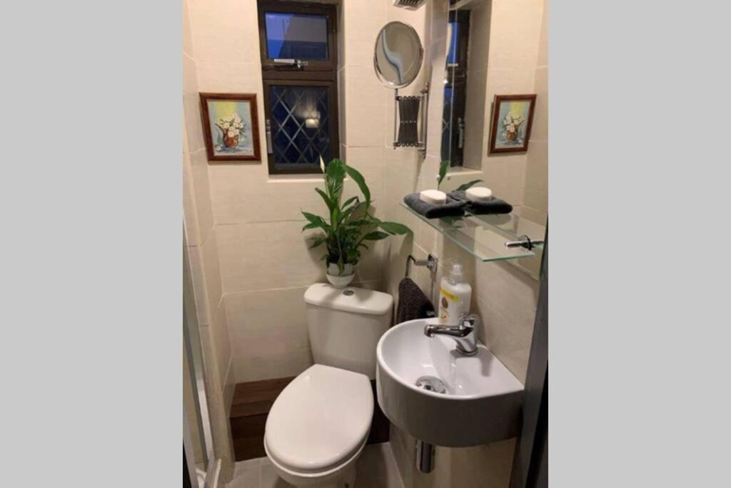 Upstairs Studio - Private Kitchenette And Small En-Suite Δουβλίνο Εξωτερικό φωτογραφία